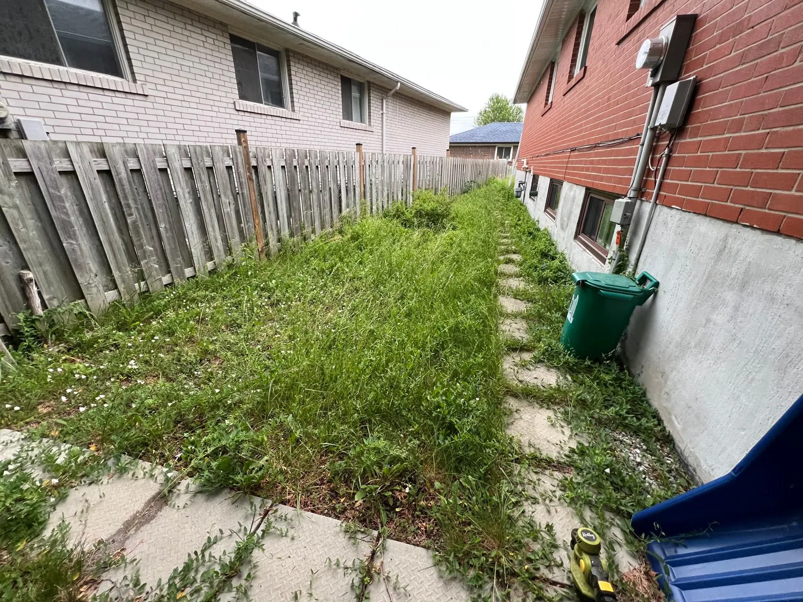 Lawn After